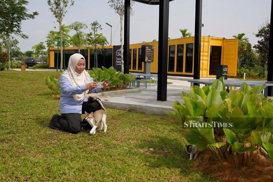 MAYOR DENIES ALLEGATIONS OF CAT ABUSE AT KLANG SHELTER