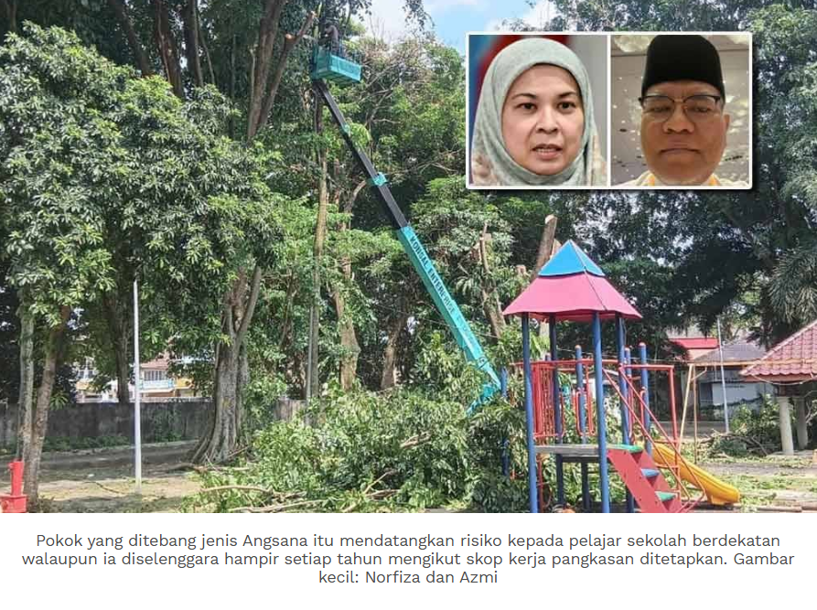 MBDK nafi dakwaan tindakan tebang pokok dibuat tanpa pertimbangan