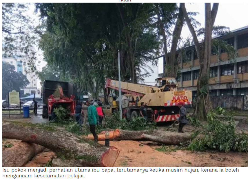 MBDK nafi dakwaan tindakan tebang pokok dibuat tanpa pertimbangan