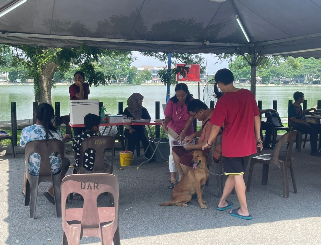 PROGRAM MELESENKAN ANJING PELIHARAAN SECARA IN-SITU DI KAWASAN MBDK TAHUN 2024