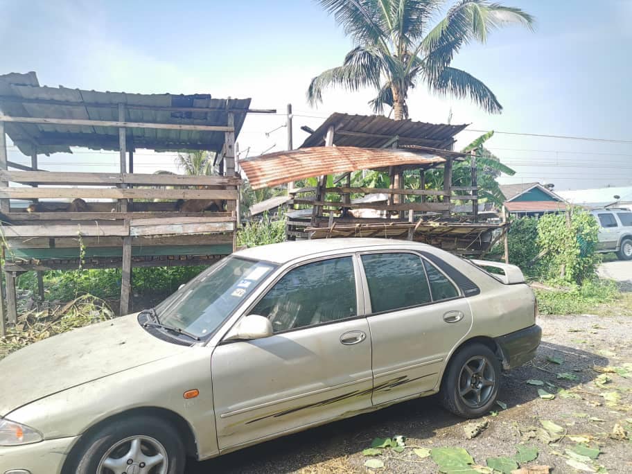 OPERASI PENGUATKUASAAN PENTERNAKAN LEMBU DAN KAMBING DI KAMPUNG JAWA, KLANG