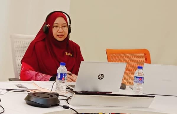 WEBINAR MINDA & BUDAYA DIGITAL INSTITUT TADBIRAN AWAM NEGARA