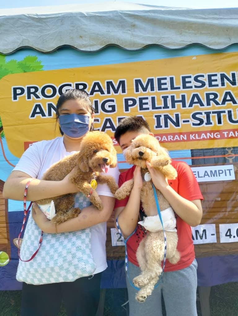 PROGRAM MELESENKAN ANJING SECARA IN-SITU